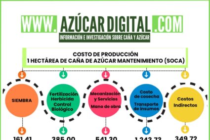 Producir una hectárea de caña de azúcar mantenimiento (soca) cuesta aproximadamente 2 mil 681,16 dólares