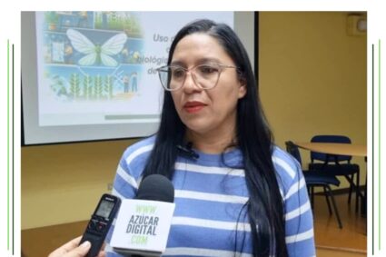 Aplicación regular de biocontroladores garantiza ahorro y rentabilidad para los cañicultores 