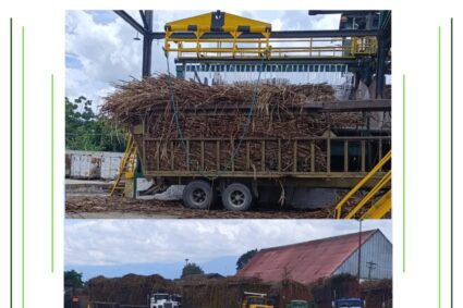 En Central Venezuela estiman moler unas 40 toneladas de caña para probar su operatividad 