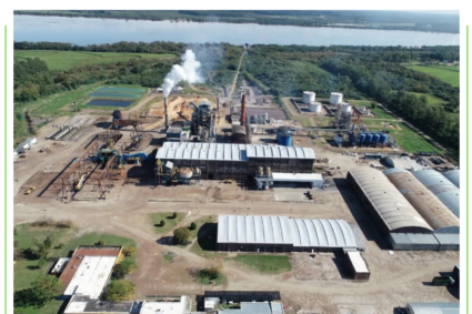 Zafra de Caña de Azúcar cerró en Uruguay arrojando altos rendimientos por hectárea