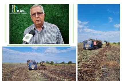 Socadulce reporta buen ritmo de arrime de caña para el Central Azucarero Molipasa