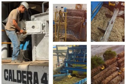 Central Río Turbio cumplió período de prueba y hace ajustes para aumentar capacidades de molienda 