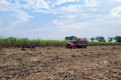 Un llamado al nuevo Ministro de Agricultura Productiva hacen cañicultores de Cumanacoa estado Sucre