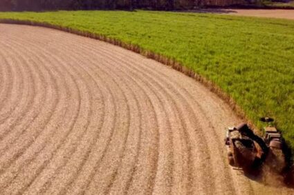 Brasil calcula que ha recogido la tercera mayor cosecha de caña de azúcar de su historia