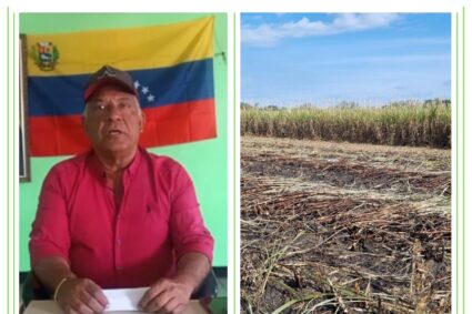 Cañicultores ven con optimismo reactivación del Departamento de Agronomía del Central de Cumanacoa