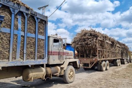 Movilización de caña de azúcar ameritará guía Sunagro a partir de la zafra 2026-2027