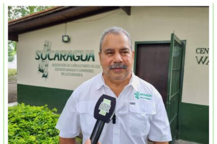 Socaragua: Por razones logísticas en campo no son viables las guías de movilización para caña de azúcar