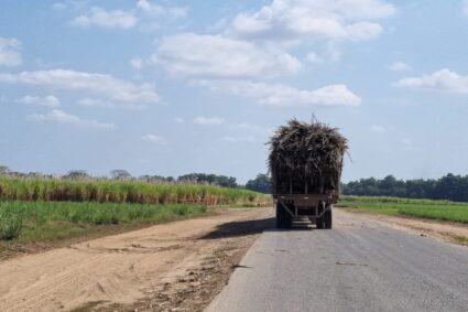 Socatol emitió Comunicado manifestando desacuerdo con implementación de guías de movilización para caña de azúcar