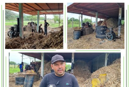 Experiencia panelera del Táchira genera empleos con la activación de trapiche en Boconoito estado Portuguesa