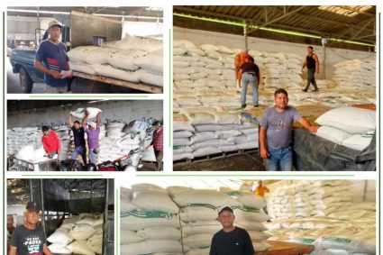 Central Batalla de Araure realizó entrega de fertilizantes y herbicidas para 215 cañicultores