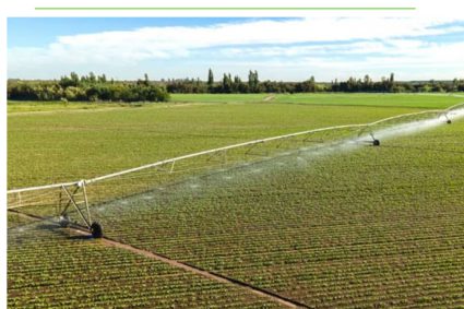Producción de azúcar de remolacha en Chile parece estar llegando a su fin luego de 70 años