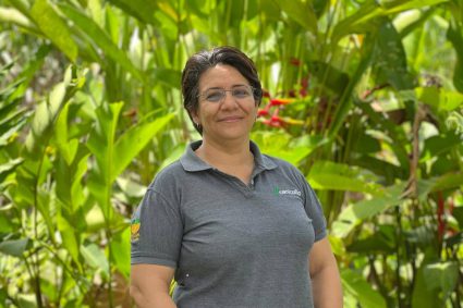 Manejo específico y calidad en las labores agrícolas marcan la evolución hacia la eficiencia productiva en caña de azúcar en Colombia