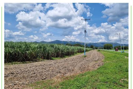 6 mil 274 hectáreas del Sistema de Riego Las Majaguas están siendo atendidas con Plan de control de Candelilla