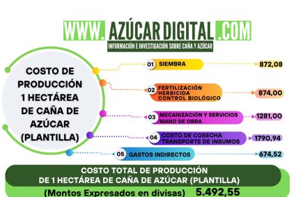 Estudio refleja que producir una hectárea de caña de azúcar (Plantilla) hoy en Venezuela cuesta 861,14 dólares más que el año pasado
