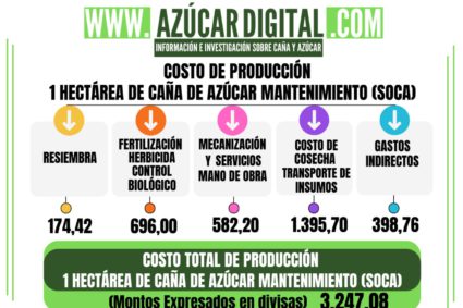 En un año el costo de producción de una hectárea de caña de azúcar mantenimiento (soca) aumentó 565,92 dólares