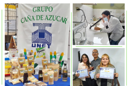 Grupo Caña de Azúcar UNET: Investigación e innovación al servicio de la agroindustria panelera