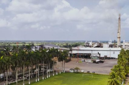 Cierre de Ingenio Azucarero San Pedro en México deja a 7 mil familias sin ingresos