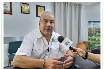 Socaragua: Es urgente que el Gobierno Nacional frene importación de azúcar refinado