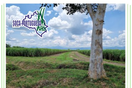 Comunicado de Soca-Portuguesa: “El campo venezolano está produciendo; no le demos la espalda”