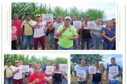 Concaboven junto a pequeños cañicultores se pronunció en contra de importación de azúcar refino