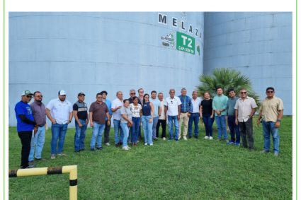 Cañicultores de Soca-Portuguesa temen retraso en inicio de zafra debido a la importación de azúcar refino   