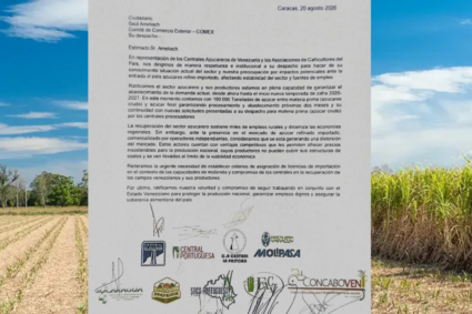 Sector azucarero nacional unido planteó situación generada por importación de azúcar refino ante Comité de Comercio Exterior