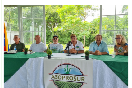 Asoprosur plantea establecer impuesto al azúcar importado y recurso recaudado destinarlo a créditos para cañicultores