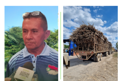 Asocatru arrimó 67 mil 200 toneladas de caña al Central Azucarero La Pastora en Lara