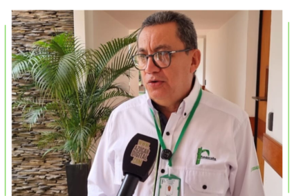 Variedades de caña de Colombia y de México pudieran llegar este mismo año a Venezuela