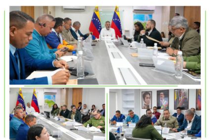 Ministro Padrino López: Sector azucarero nacional cubre el 55% de la demanda tras cinco años de crecimiento sostenido