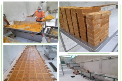 Central Panelero en Queniquea estado Táchira trasciende la tradición productiva